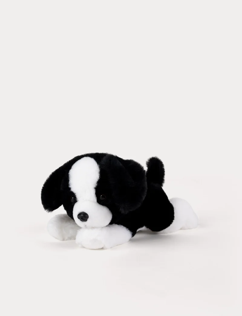 Mischievous Puppy