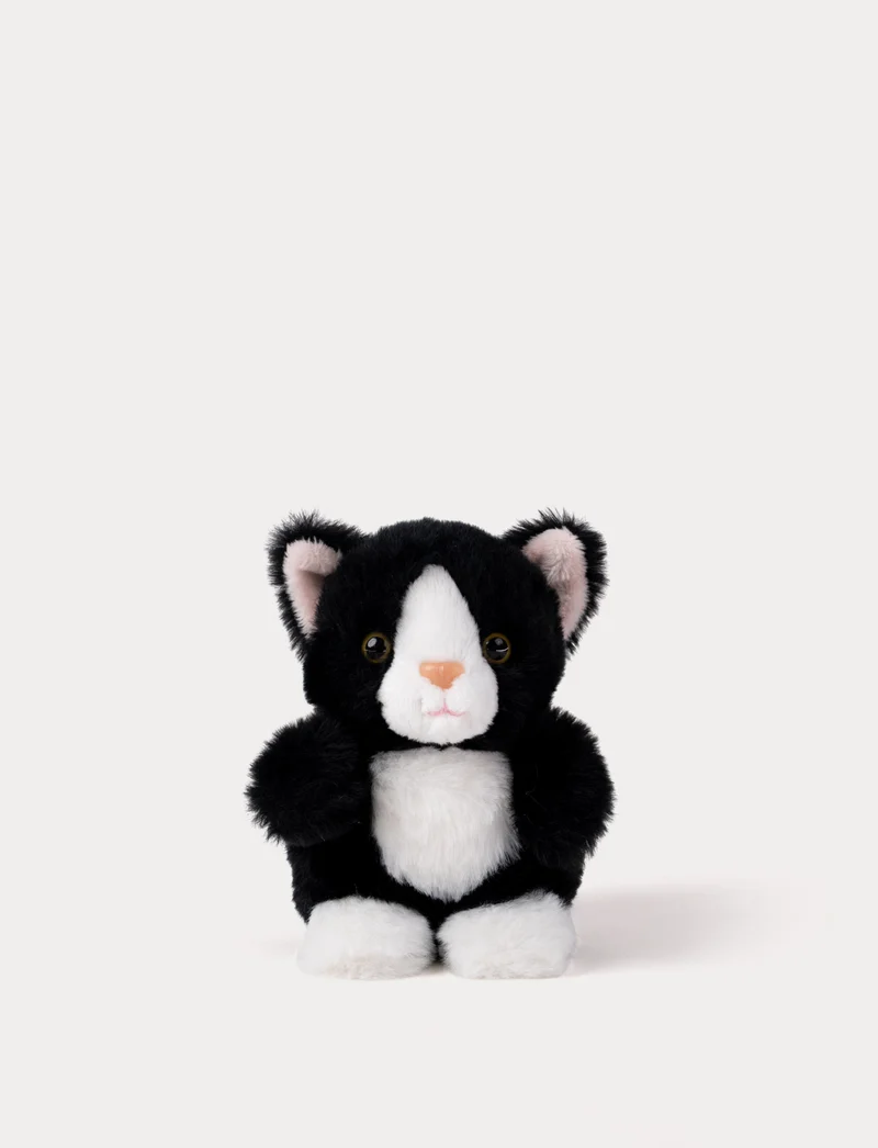 Teddy Cats, Small