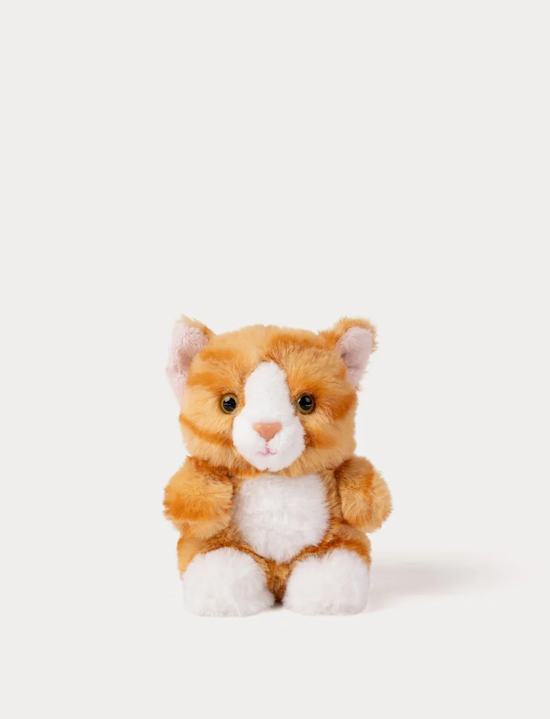 Teddy Cats, Small