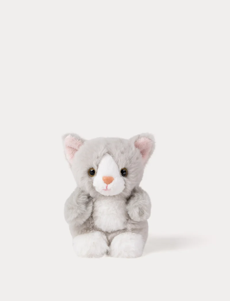 Teddy Cats, Small