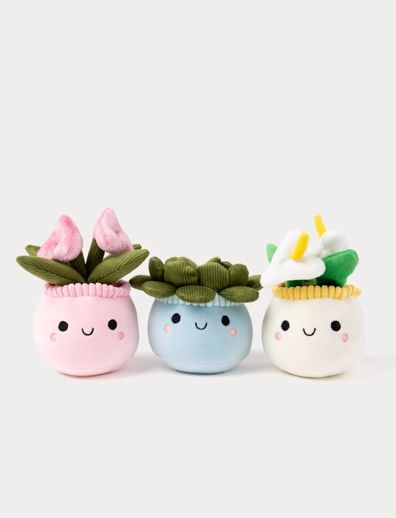 Teddy Flowers, Gift Flower, Trio