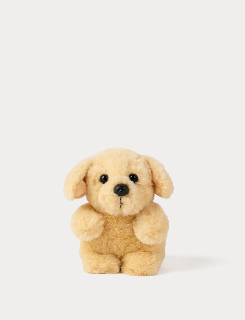 Teddy Dogs, Small