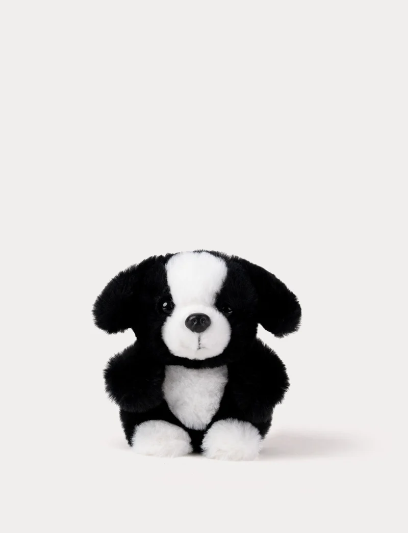 Teddy Dogs, Small