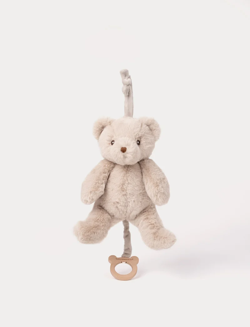 Teddy, Music Box, Teddy Bear
