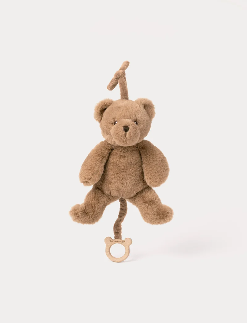 Teddy, Music Box, Teddy Bear