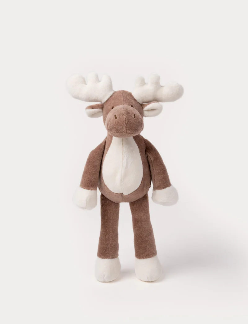 Diinglisar Organic, Moose