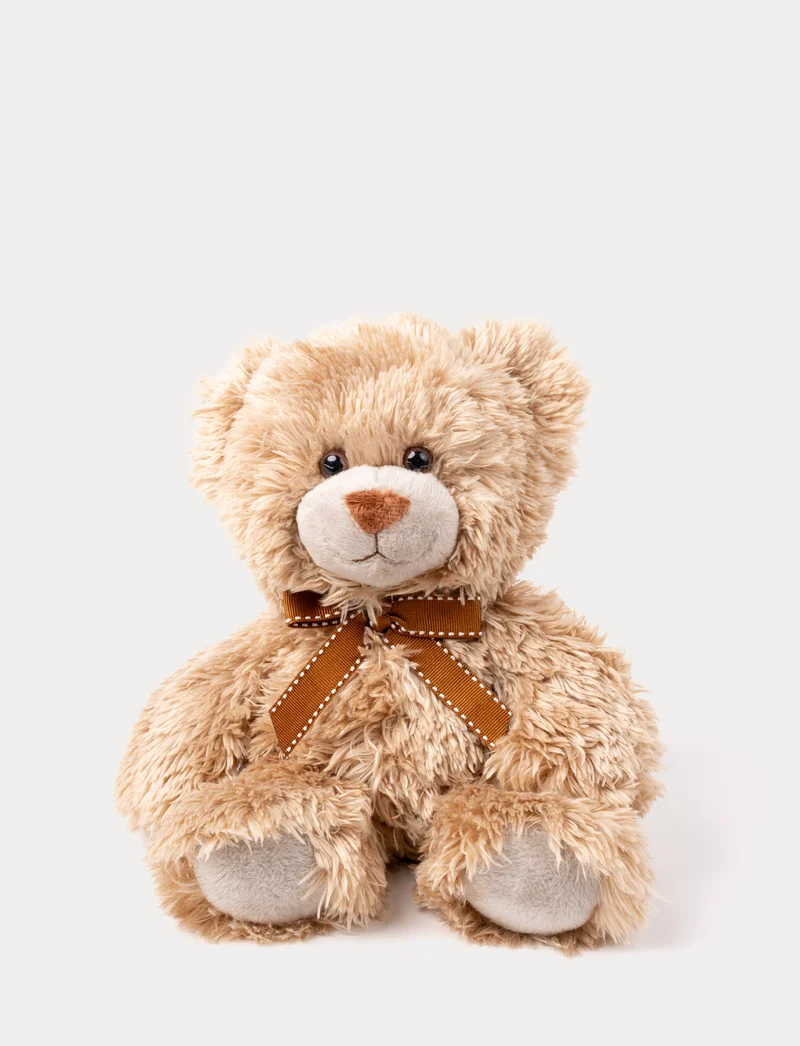 Roger, Teddy Bear, Small
