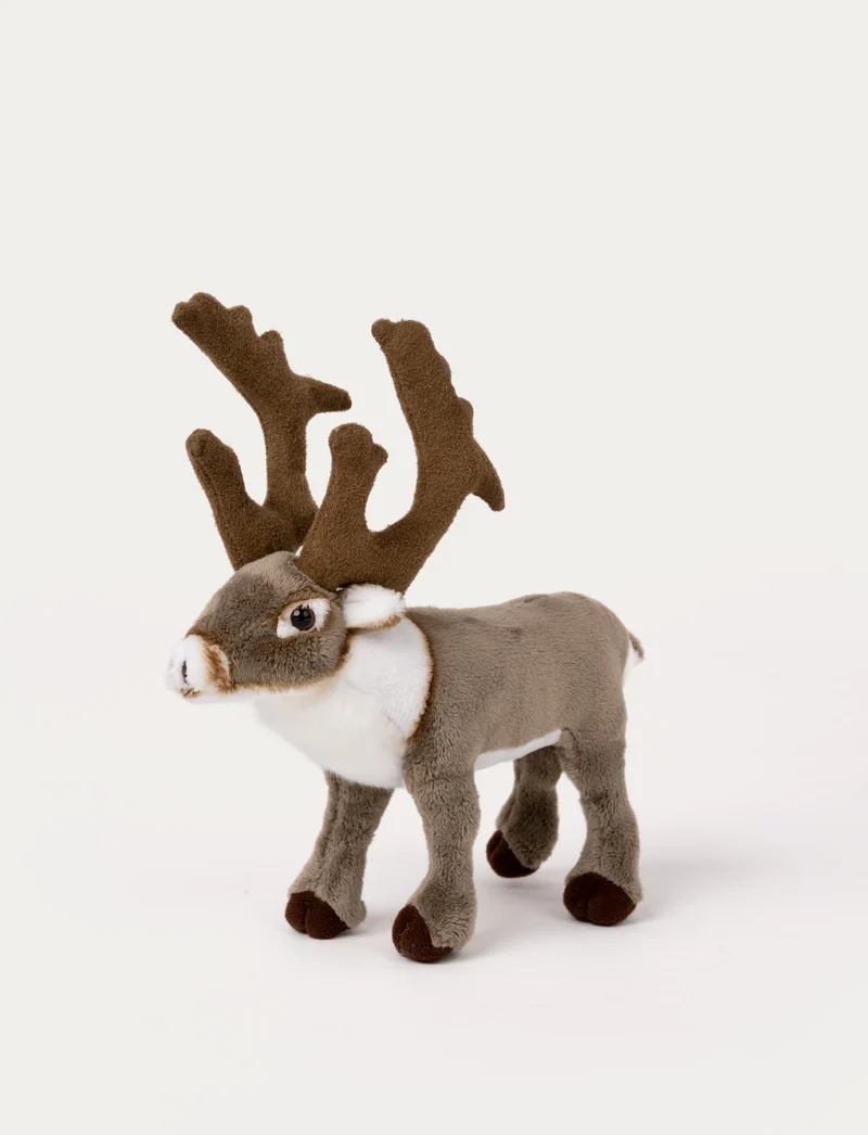 Reindeer, Small