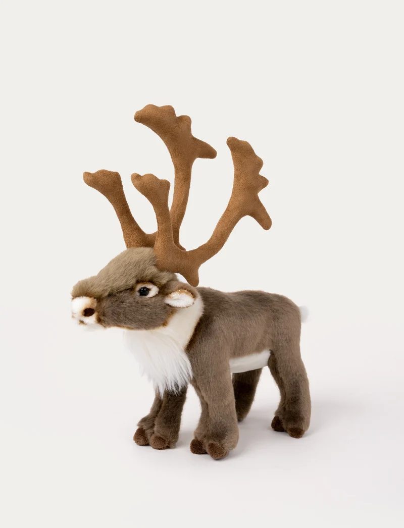 Reindeer, Big
