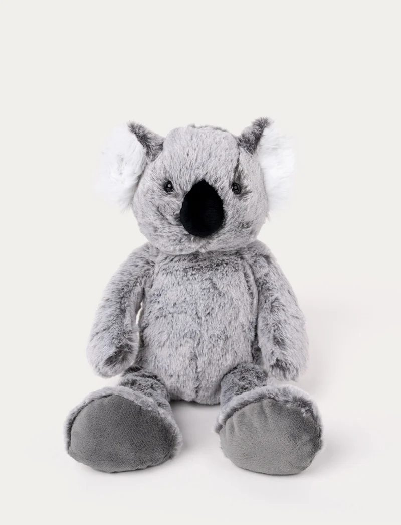 Teddy Wild, Koala