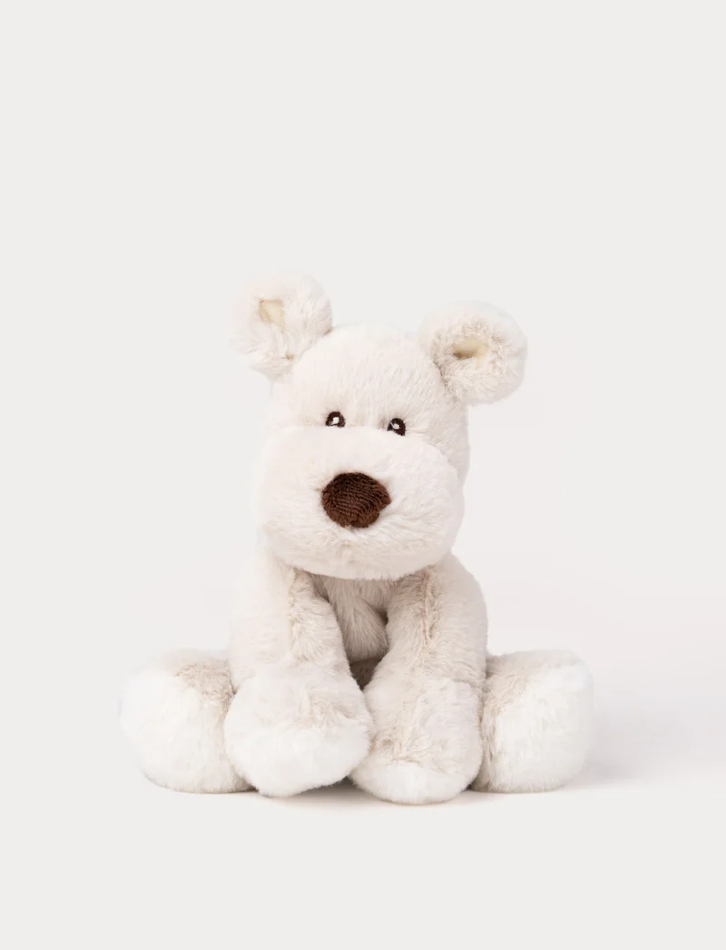 Teddy Mocca, Dog, Small