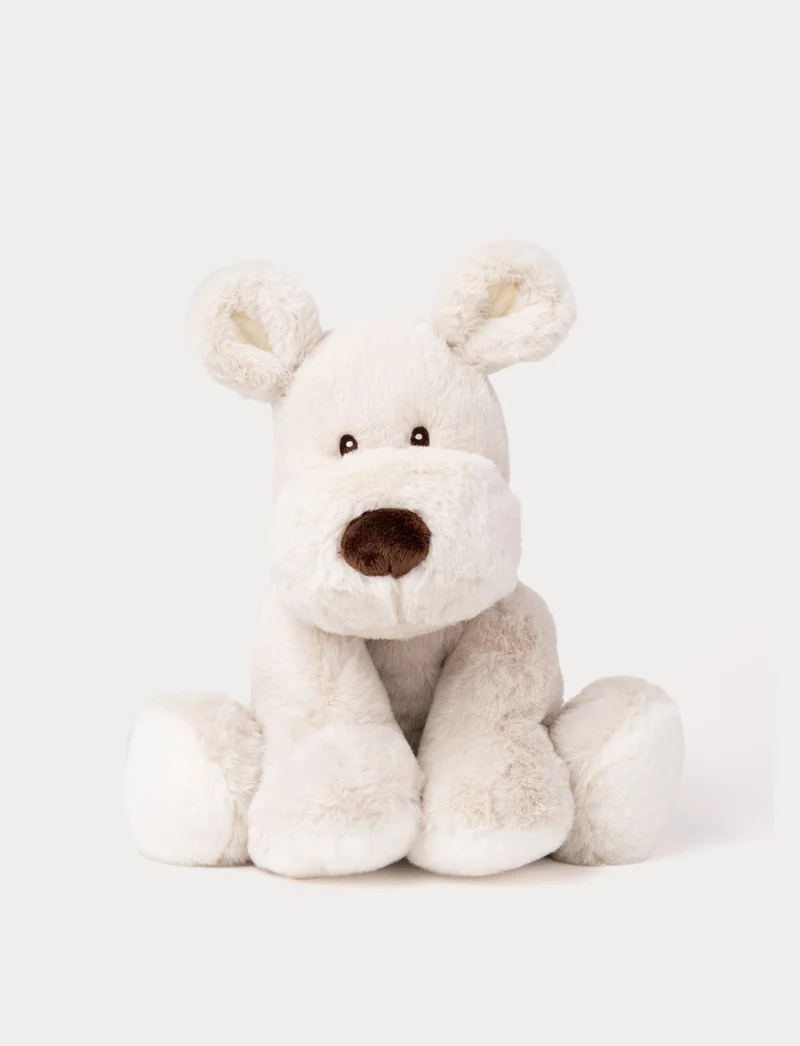 Teddy Mocca, Dog, Big