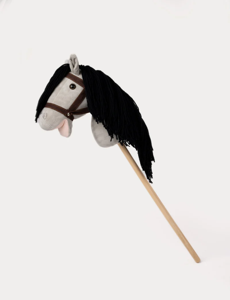 Hobby Horse with Reins