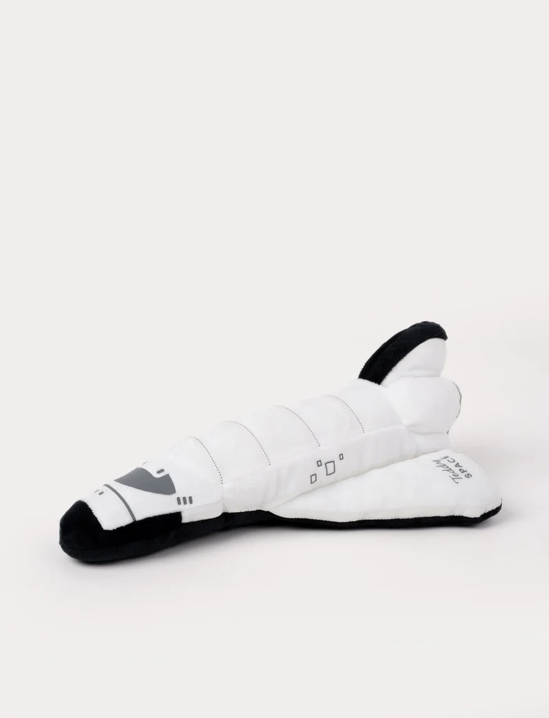 Glow-in-the-Dark, Teddy Space