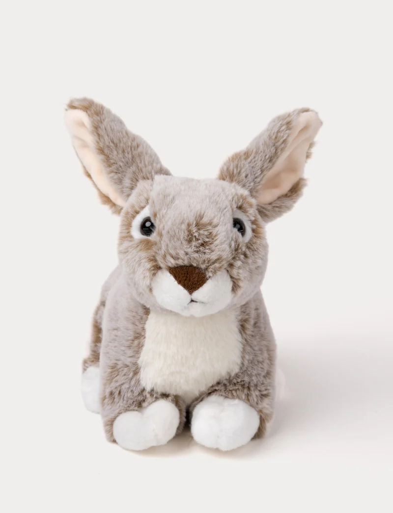 Dreamies, Bunny