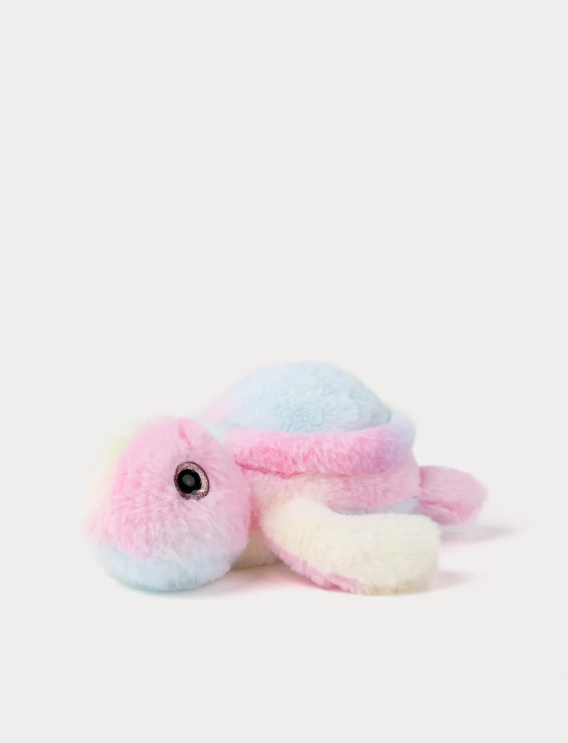 Turtle, Rainbow-colored