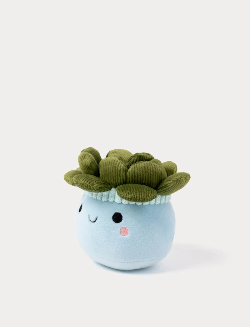 Teddy Flowers, Gift Flower