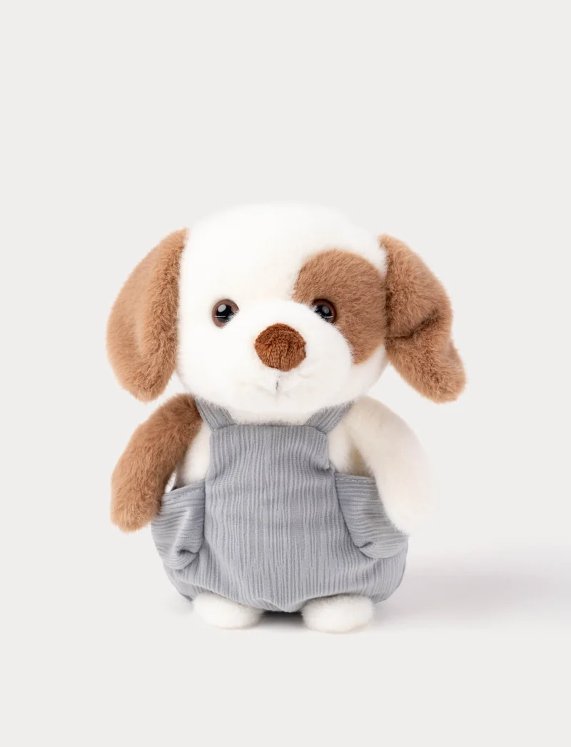 Dog with Dungarees