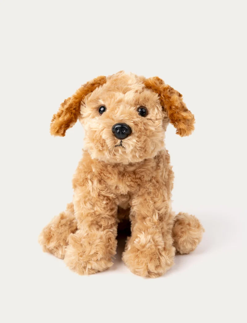 Teddy Dogs, Dog