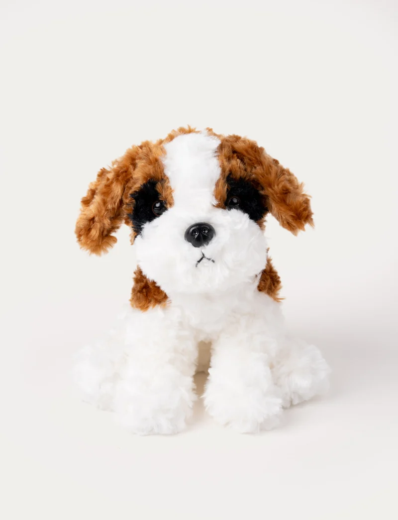 Teddy Dogs, Dog