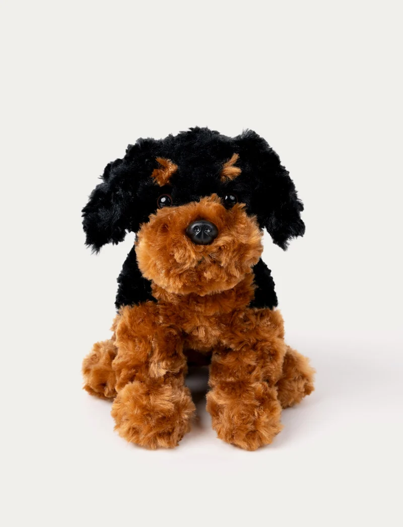 Teddy Dogs, Dog