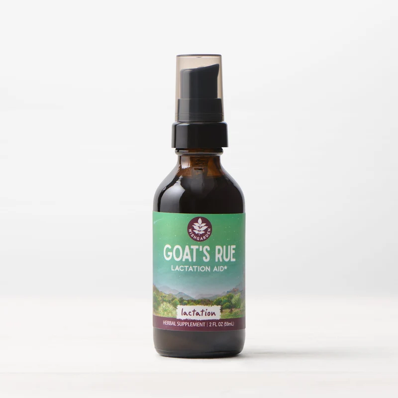 Goat's Rue Lactation Aid