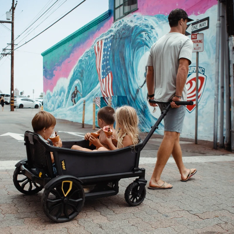 Veer All-Terrain Cruiser XL (backordered-estimated shipping early June)
