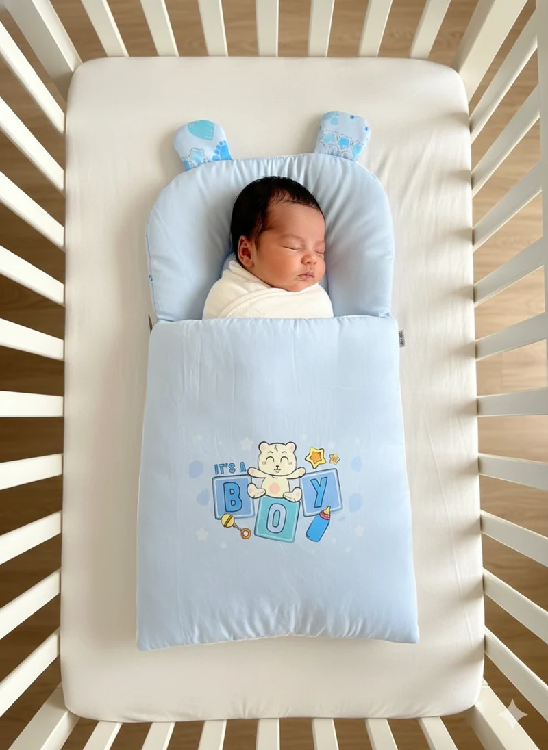 Its A Boy - Carry Nest & Sleeping Bag