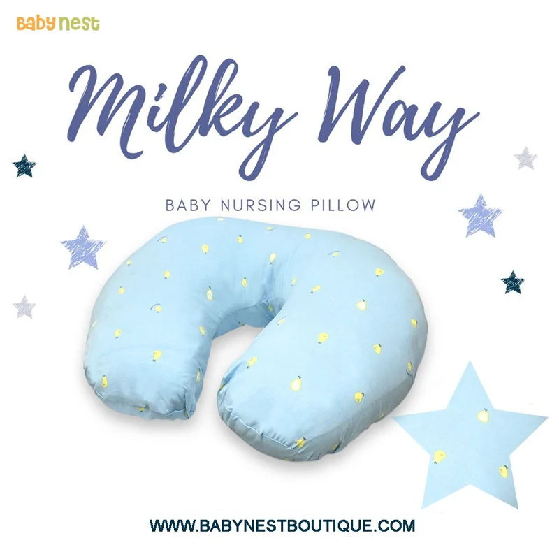 BNNP-100 â€šÃ„Ã¬ 4 in 1 Nursing Pillow