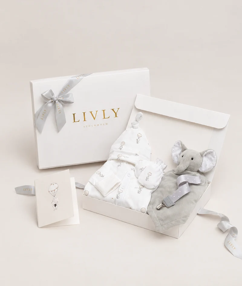 Flying Elephant Gift Set
