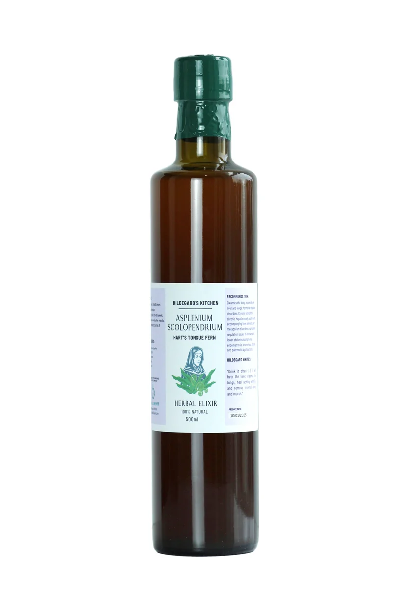 ASPLENIUM SCOLOPENDRIUM Heart’s Tongue Fern Elixir 500ml