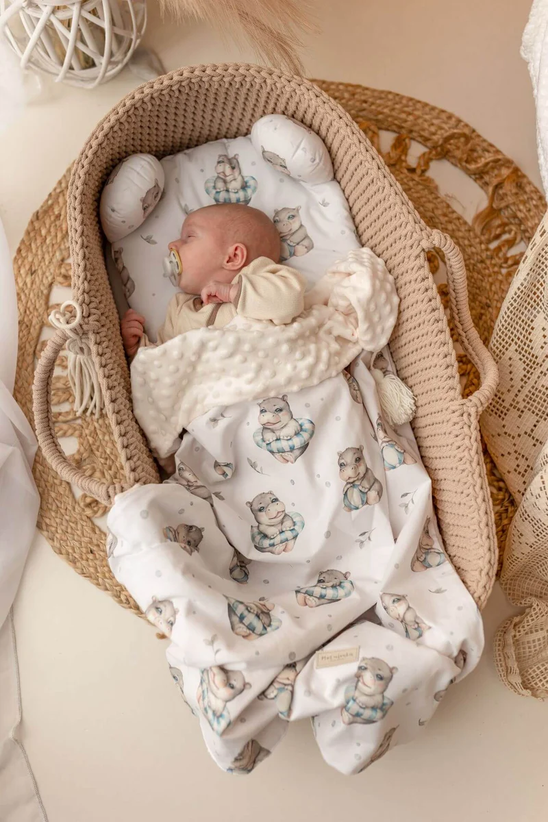 Blanket & Pillow Set
