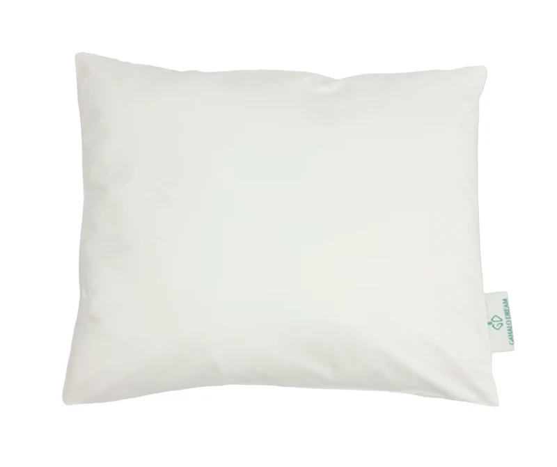 Pillow Insert- Travel Size