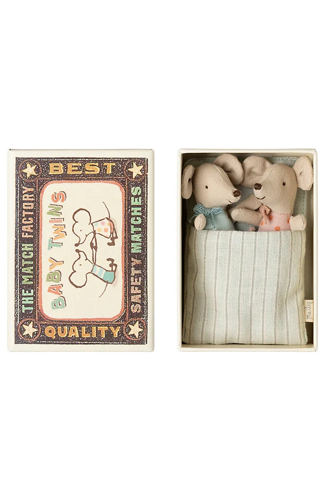 Twins Baby mice in matchbox